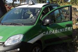 Nuova violazione dei sigilli in un cantiere edile, denunciate due persone