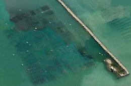 Sub furbetto: lo danno per disperso in mare invece.... rubava cozze