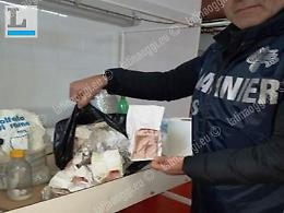 Aveva un magazzino di prodotti fitosanitari senza autorizzazione: maxi sequestro