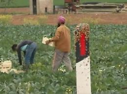 Controlli serrati sul lavoro nero: identificati ed espulsi due irregolari
