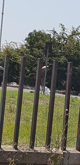 Immigrati nudi al mercato settimanale, per la Lega &egrave; colpa di Coletta