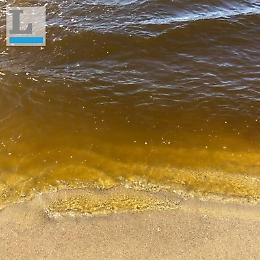 Liquami in mare: divieti di balneazione a Pomezia e Ardea