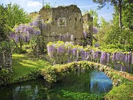 European Garden Award: il Giardino di Ninfa vola in finale