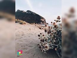 La magia delle dune di Sabaudia in uno scatto: ecco il nuovo Iger of the Week