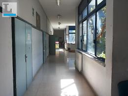 Crollo nel plesso, gli alunni saranno trasferiti nella scuola di Lanuvio