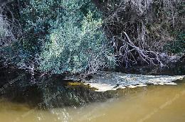 Sabaudia, lago di Paola: Comune e Parco trovano un'intesa