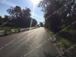Via Regione Veneto dimenticata, l'erba ormai invade entrambe le carreggiate