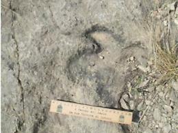 Sezze, dinosauri: passi in avanti per l'ampliamento del monumento naturale
