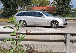 Terracina, controlli a revisione e assicurazione: auto fuggono sulla Pontina