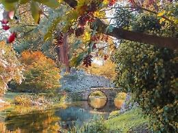 Iger Of The Week: l'autunno accarezza Ninfa e accende la magia