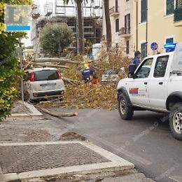 Maltempo, cade un ramo in strada: tre auto colpite in via della Vittoria