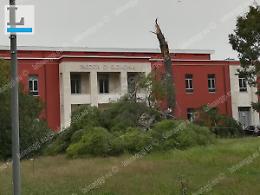 Altre immagini dei danni a Latina dopo una nuova ondata di vento fortissimo
