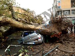 Ciclone da 180 chilometri orari: «Terracina devastata da un fenomeno tropicale»