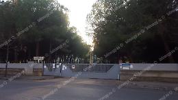 Cancello chiuso al Porfiri per i rami pericolanti, disagi per i pazienti