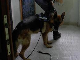 Anzio, controlli antidroga nelle scuole: in azione la polizia