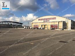 Palazzetto dello sport a Cisterna, finalmente si può giocare