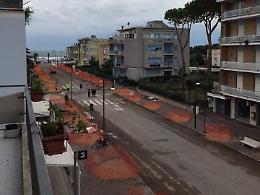 Terracina, scelti lecci e canfore per l'alberatura di Viale della Vittoria