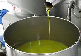 Rubano e rivendono olio d'oliva, 5 denunciati tra Aprilia e il litorale romano