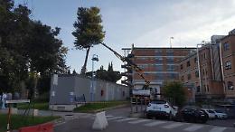 Latina, donna morta al Goretti sequestrate le cartelle cliniche