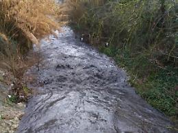Acqua nera nel canale, la preoccupazione degli abitanti di Frassineto