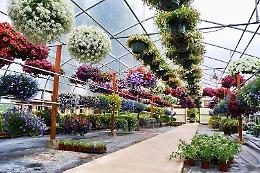 Camera di Commercio, florovivaismo: incoming con gli operatori esteri