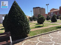"Un Bacio è un Bacio", a San Valentino l'Arcigay Latina scende in piazza