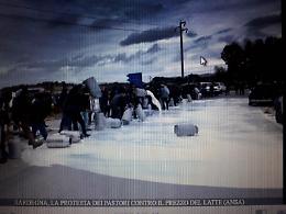 Aspal si schiera al fianco dei pastori sardi: "Difendiamo i prezzi dei prodotti"