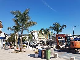 Palme al Lido e canfore e lecci sul viale. A Terracina tornano gli alberi
