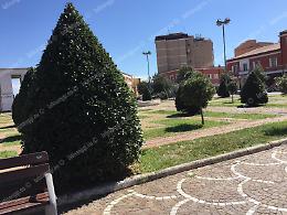 Restyling di piazza del Popolo, la gara d'appalto va deserta