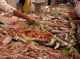 Mercato del pesce a Gaeta, "gravi le responsabilità dell'amministrazione"
