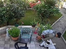 Latina, le intercettazioni dei ladri seriali: mi sono azzoppato in casa di uno