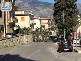 Alberi abbattuti dal forte vento: danni ai negozi e cimitero chiuso