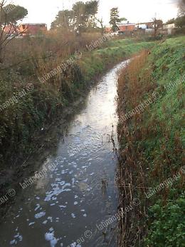 Schiuma bianca nel canale Rio Torto, il comitato lancia l'allarme