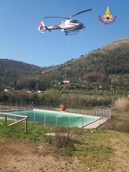 Grosso incendio devasta oltre tre ettari di vegetazione