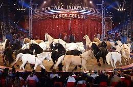 «Vietare gli animali nel circo? Si distrugge una cultura millenaria»