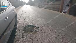 Nettuno, la foto dei lettori: grossa buca in via Padre Pio
