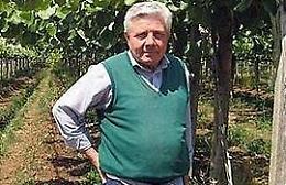 L'assessore Campoli lascia la giunta Carturan, rassegnate le dimissioni