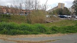 L'Oasi Verde Susetta Guerrini in totale abbandono: erba alta e tombini distrutti