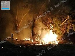 Incendio nella notte nel parco regionale dei Monti Ausoni