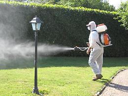 A Latina iniziata la disinfestazione: il programma