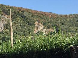 Parassiti pericolosi nel Parco nazionale, incontro con gli esperti