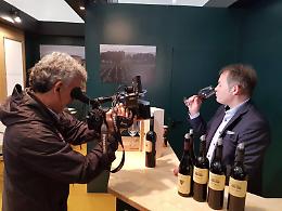 Vinitaly 2019, la provincia di Latina fa incetta di premi per i vini migliori
