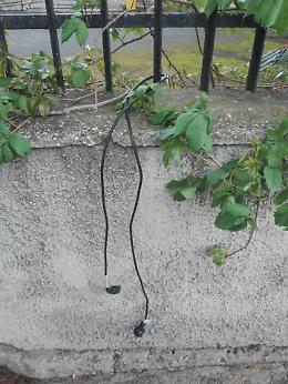 Furto a atti vandalici all'interno della biblioteca di Latina Scalo