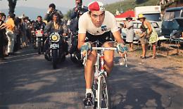 Giro d'Italia, quando il "Cannibale" venne cancellato dal crollo della tribuna