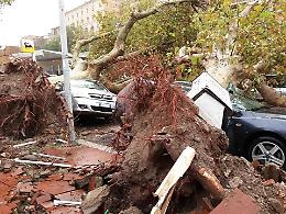 Danni del tornado a Terracina, ultima chiamata per presentare le istanze