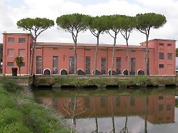 Il consorzio di bonifica taglia gli alberi pericolosi a Mazzocchio