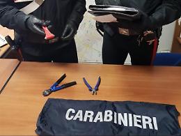 Taglia la recinzione e tenta di introdursi nel campo sportivo di Santa Rita