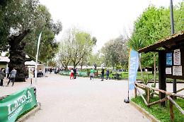A Piana delle Orme "Giochi senza Frontiere" dei centri diurni