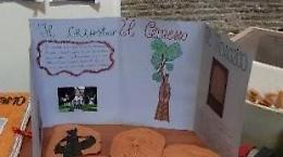 La Commissione Scuola incontra gli studenti dell'istituto Tasso
