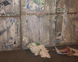 Manifesti elettorali strappati, l'indignazione di Europa Verde